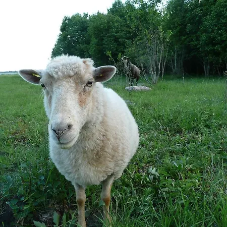 Tooma Farm